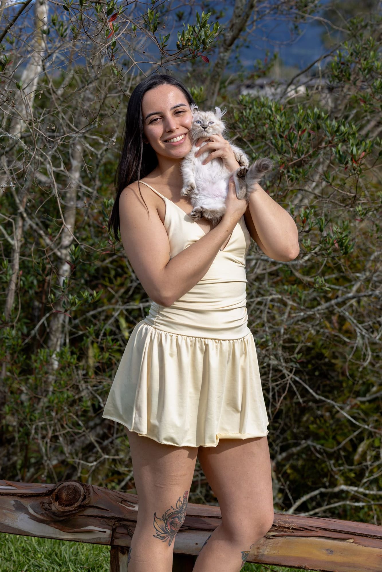 El vínculo entre los criadores y los gatos de BigPaws.TV